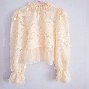 Zara Organza Ruffled Sequin Blouse